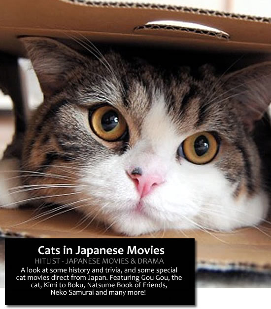 Cats in Japanese Movies